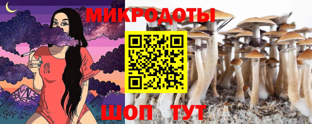 Псилоцибиновые грибы GOLDEN TEACHER Чита