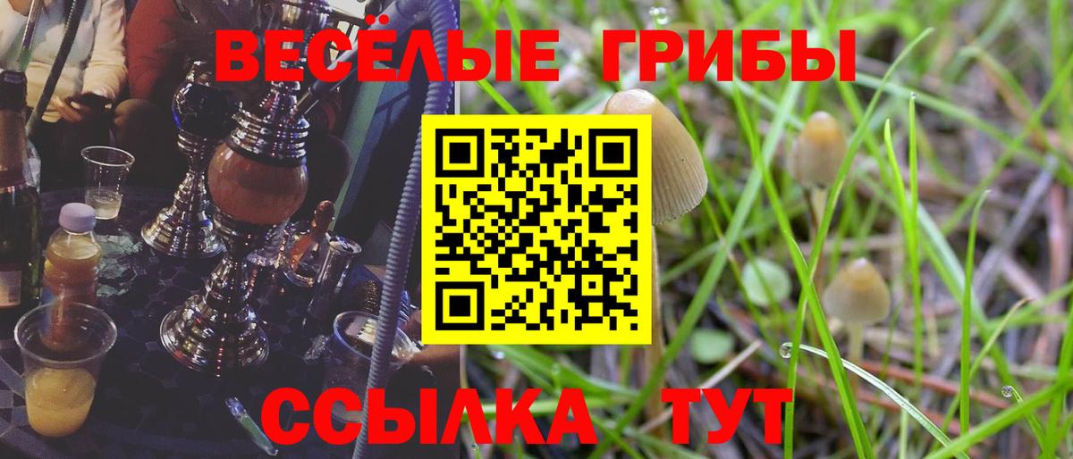 Чита  Псилоцибиновые грибы Magic Shrooms  Галлюциногенные грибы GOLDEN TEACHER  Вход с VPN 
